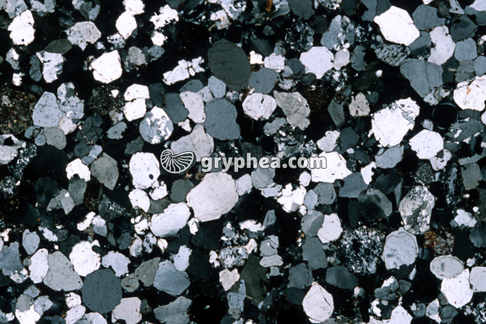 Grès vosgien LPA x3 - gryphea.com